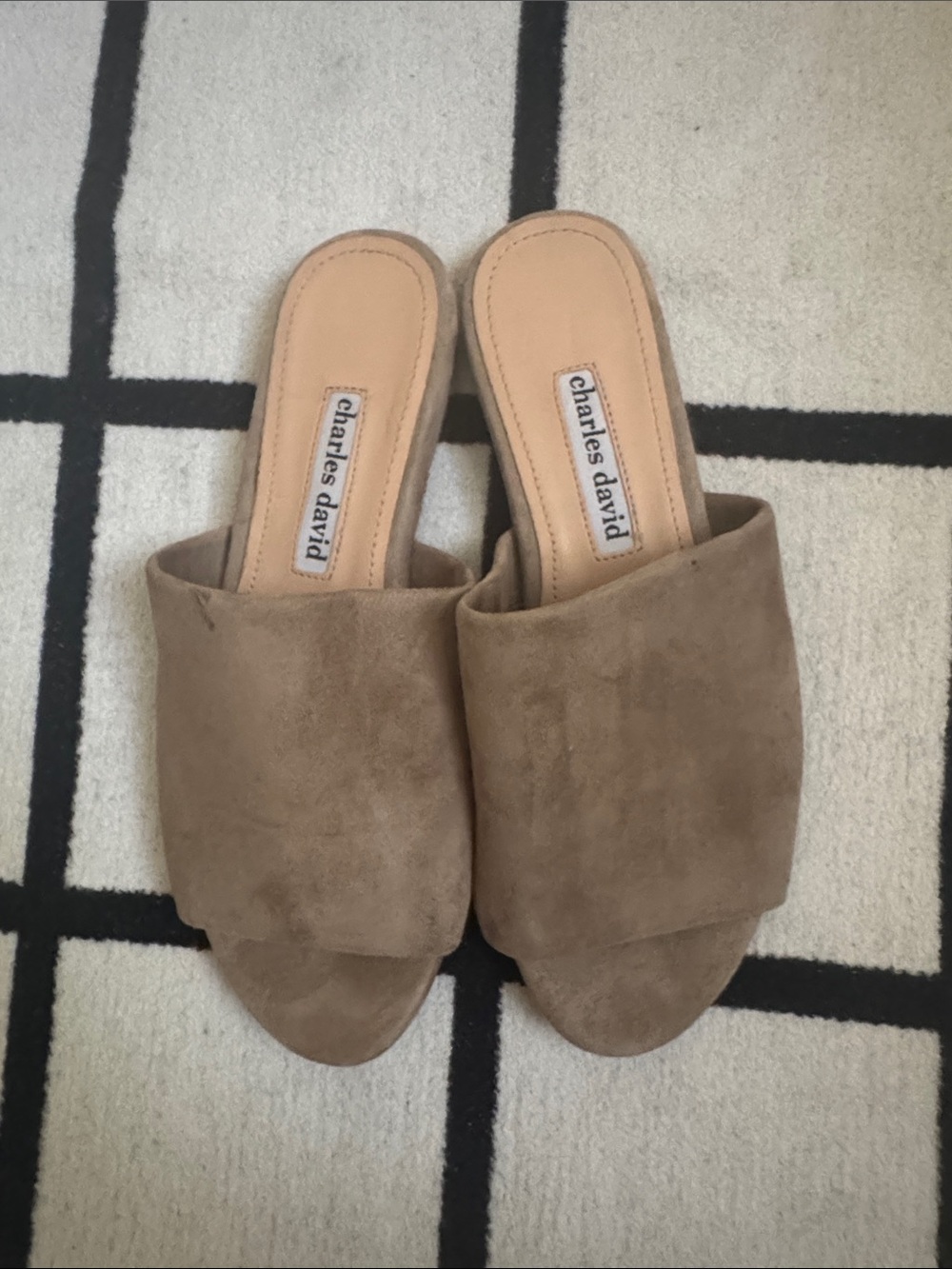 Charles David Tan Suede Slide Mules